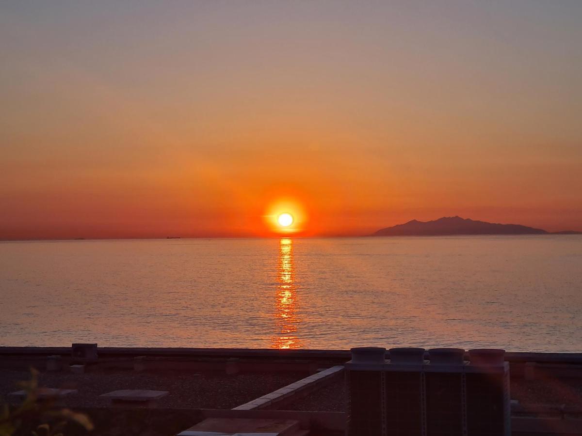 Corse, Residence Marina Di Bravone, Acces Direct Plage Linguizzetta Exterior photo