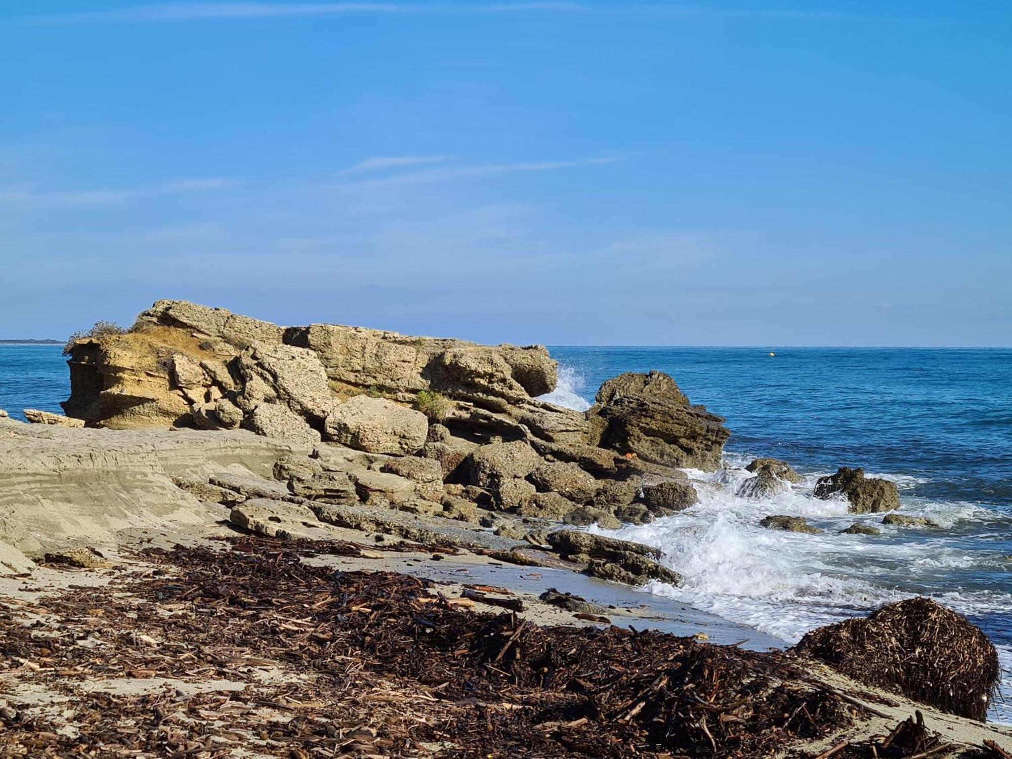 Corse, Residence Marina Di Bravone, Acces Direct Plage Linguizzetta Exterior photo